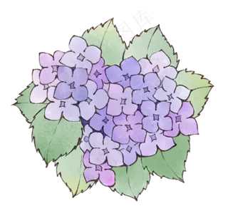 水彩水墨装饰清新小花绣球花素材