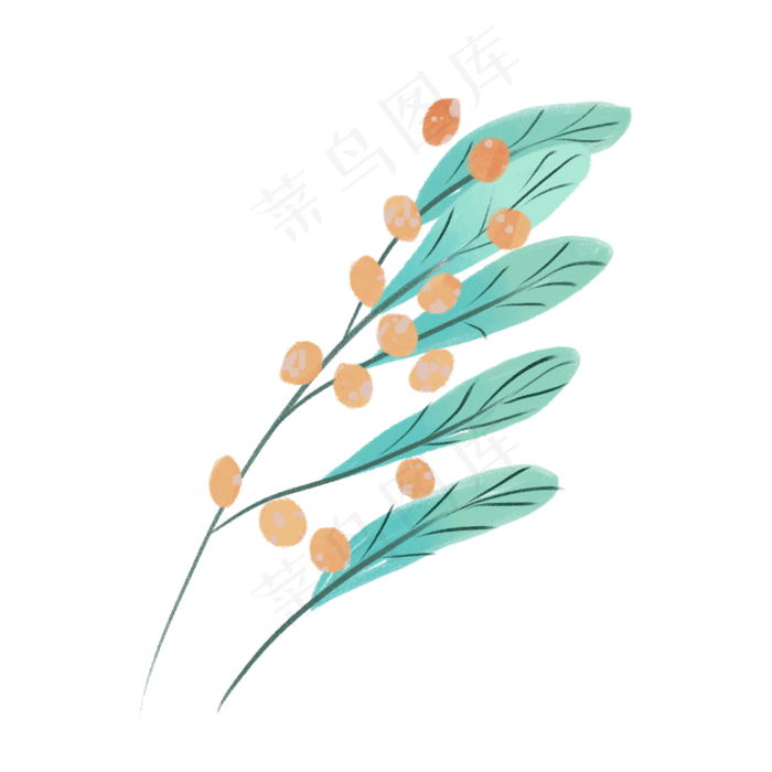 手绘水彩植物果实插画