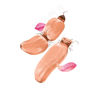 夏日莲藕鲜蔬荷花清新PNG