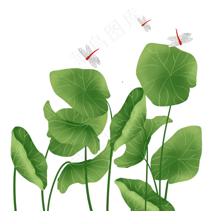 荷塘荷叶蜻蜓(2000X2000(DPI:299))psd模版下载