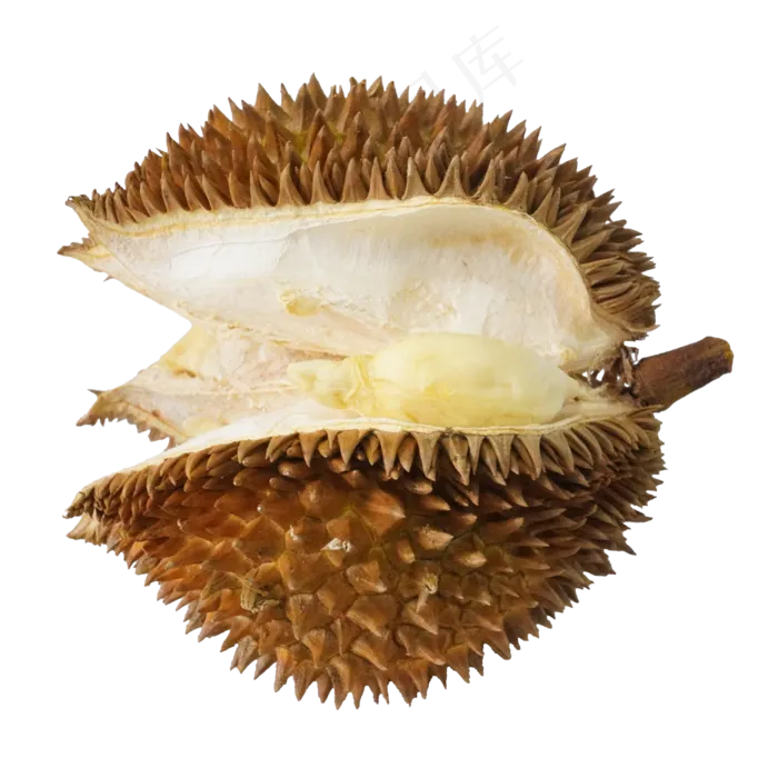 泰国水果榴莲