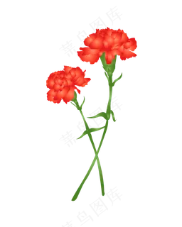 花装饰图案小粉花