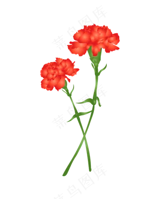 花装饰图案小粉花