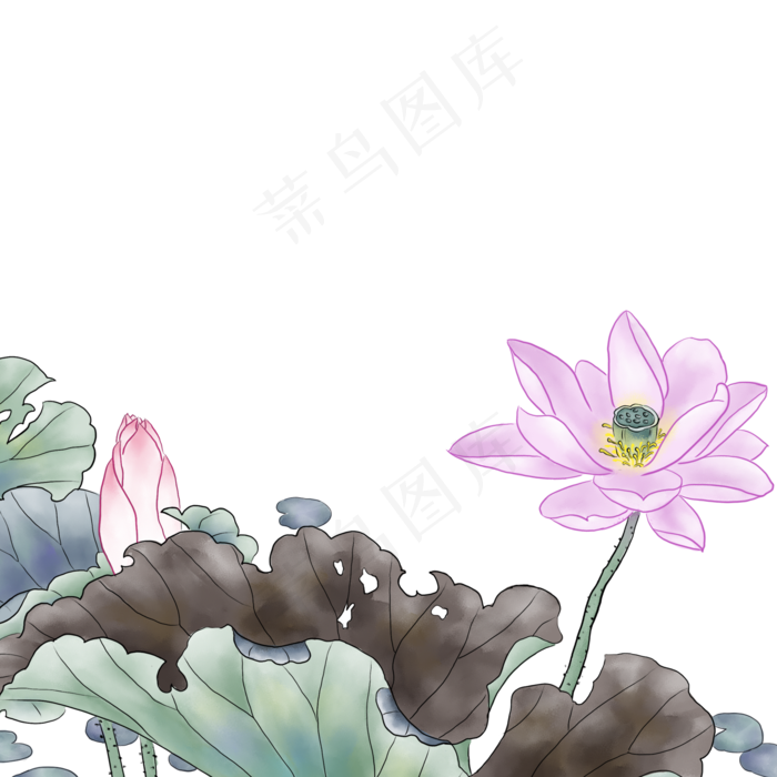 新鲜的荷花免抠图(2000X2000(DPI:300))psd模版下载