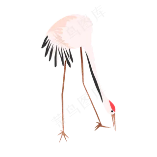 中国风喝水凤舞仙鹤