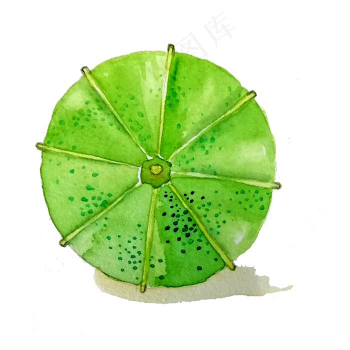 油纸伞折伞绿色草绿中国风折伞PNG,免抠元素(2000X2000(DPI:200))psd模版下载