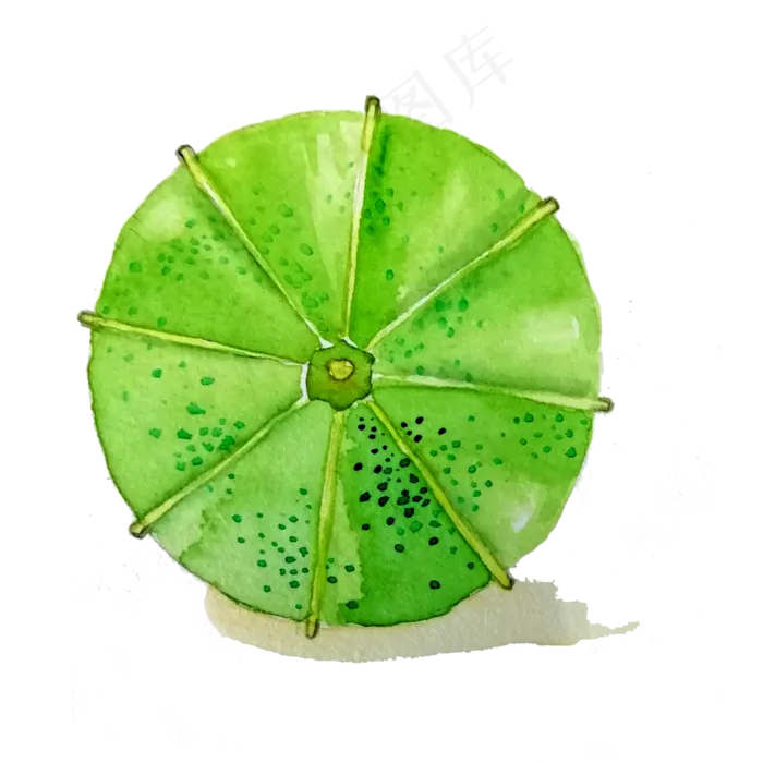 油纸伞折伞绿色草绿中国风折伞PNG,免抠元素(2000X2000(DPI:200))psd模版下载