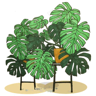 绿色盆栽植物免扣素材