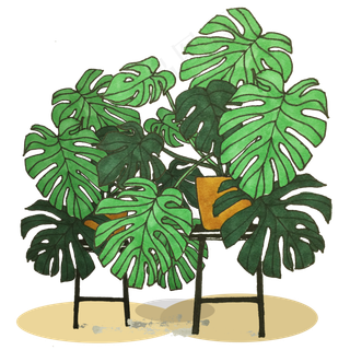 绿色盆栽植物免扣素材