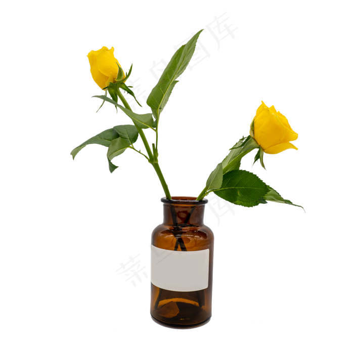 黄色玫瑰和花瓶