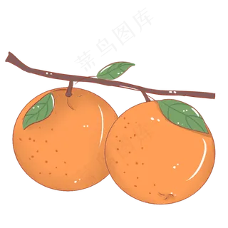 桔子维生素卡通大自然培育橘色