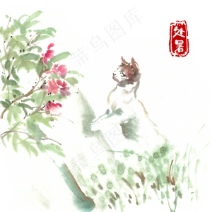 处暑好奇的小猫