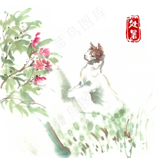 处暑好奇的小猫