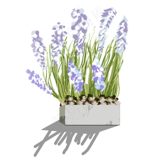 手绘水彩紫色风信子盆栽可商用元