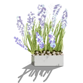 手绘水彩紫色风信子盆栽可商用元