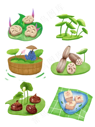 处暑荷花荷叶莲藕马蹄套图