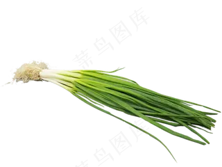 绿色蔬菜小葱