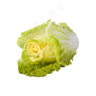 黄芽菜(png免抠）