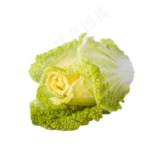 黄芽菜(png免抠）