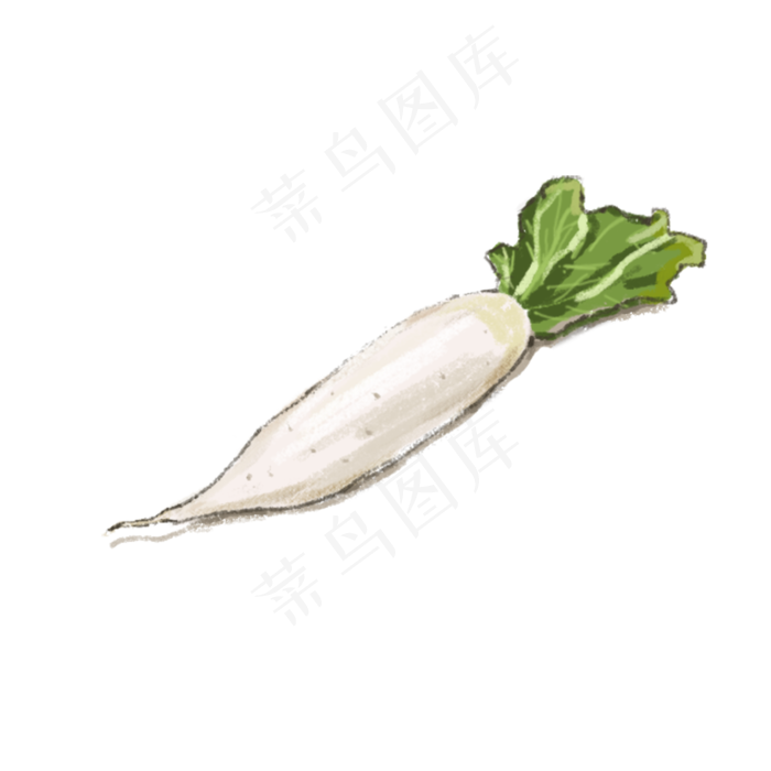 二十四节气养生手绘新鲜蔬菜白萝