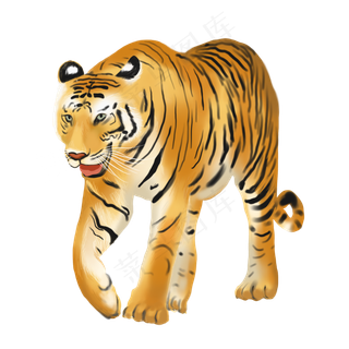 动物类老虎森林之王,免抠元素