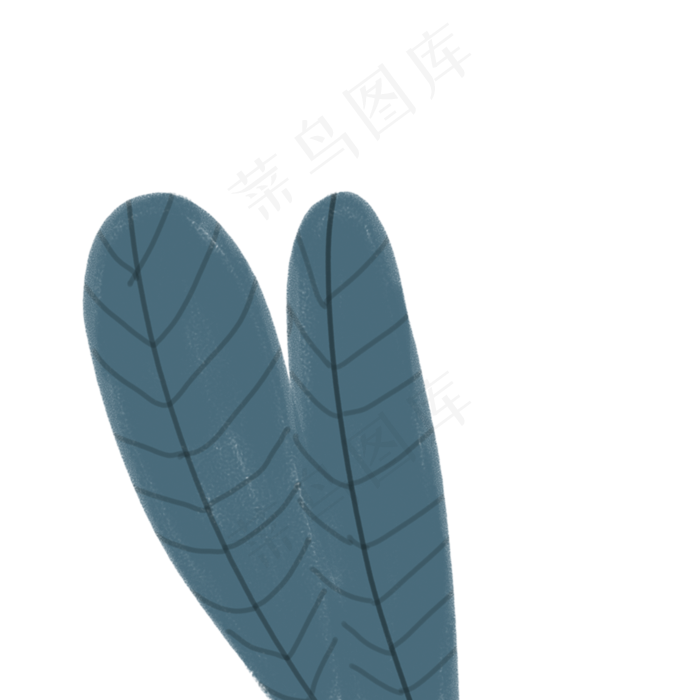 卡通植物叶子下载(2000X2000(DPI:300))psd模版下载