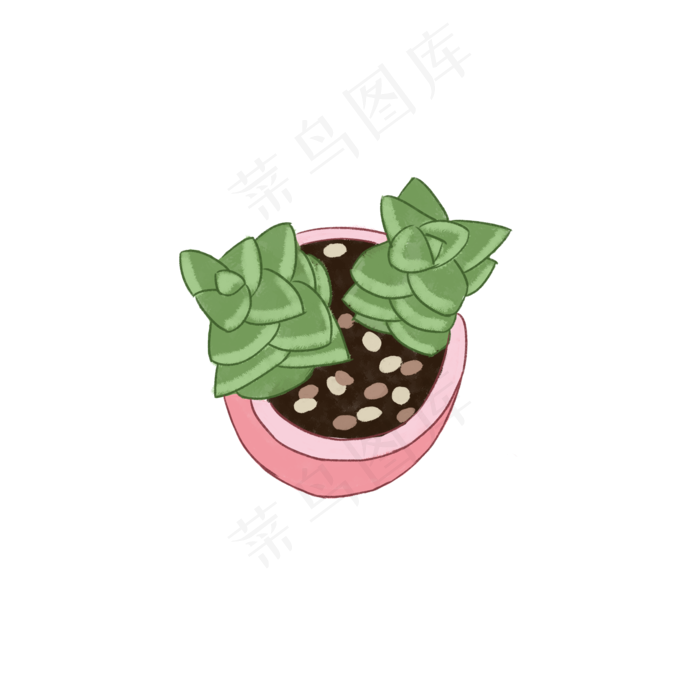 盆景绿色植物芦荟