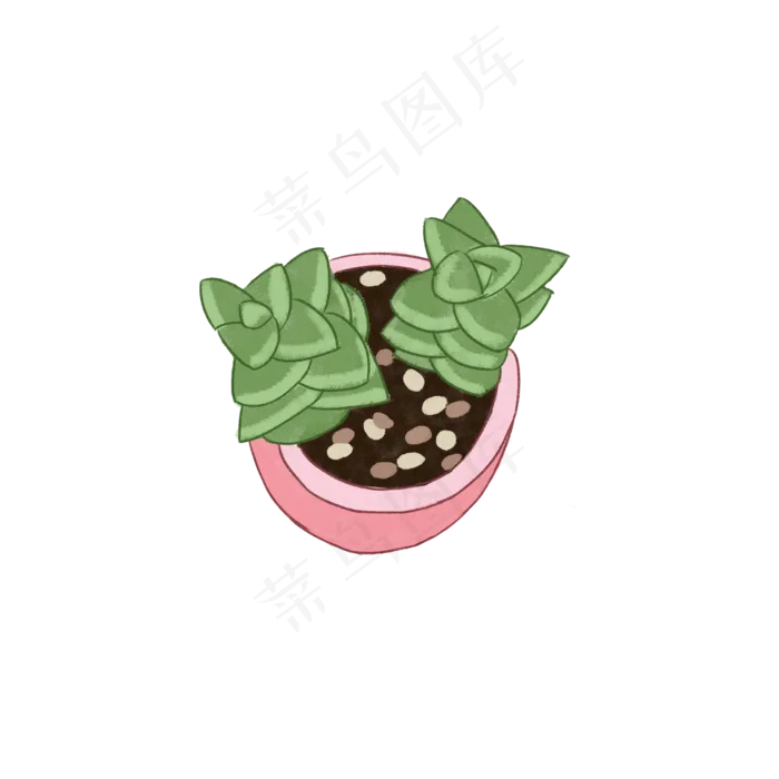 盆景绿色植物芦荟(2000X2000(DPI:300))psd模版下载