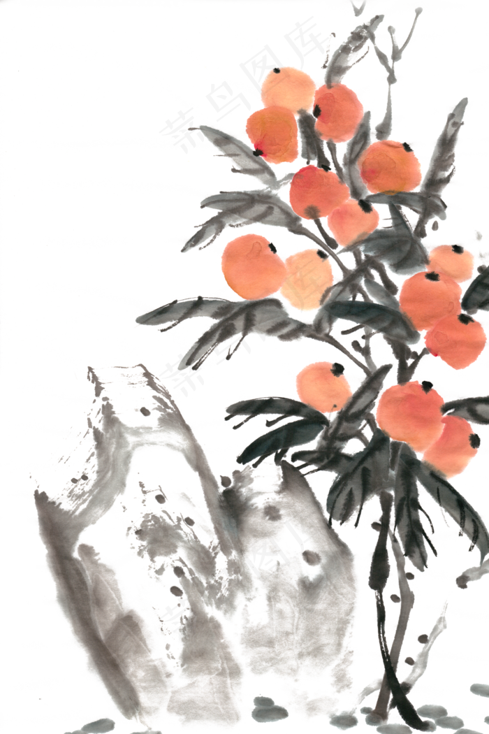 枇杷水墨画PNG免抠素材(4724X7087(DPI:300))psd模版下载