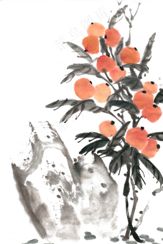 枇杷水墨画PNG免抠素材