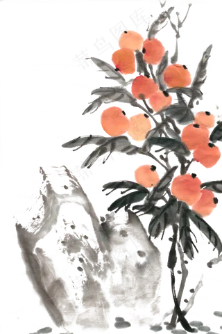 枇杷水墨画PNG免抠素材