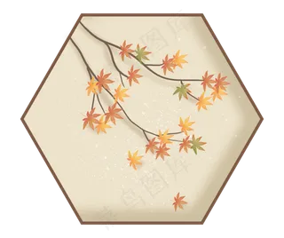 枫叶树叶落叶秋天树枝叶子