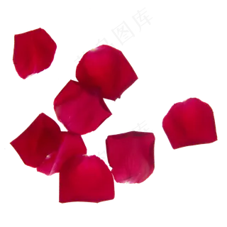 红色花瓣