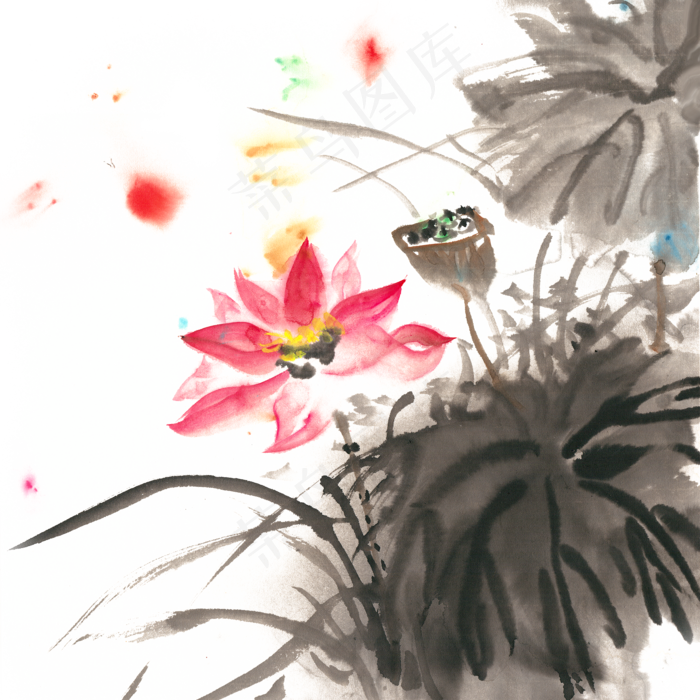 盛开的荷花水墨画PNG免抠素材