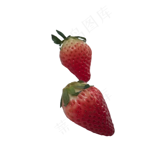 两颗草莓实拍png免抠(2000*2000px 300 dpi )psd模版下载