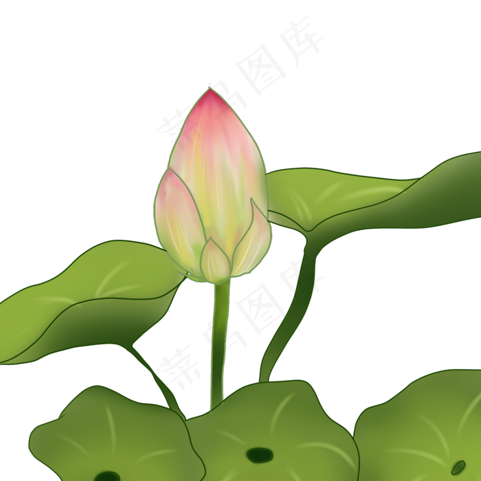 夏天荷花免抠(2000X2000(DPI:350))psd模版下载