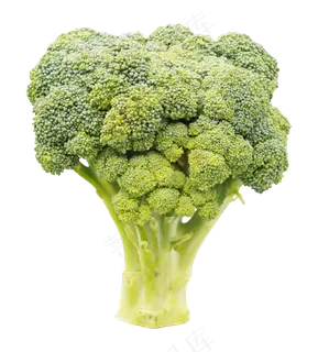 新鲜蔬菜西蓝花