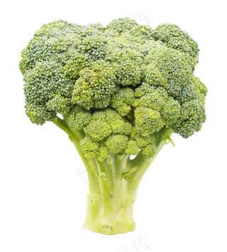 新鲜蔬菜西蓝花