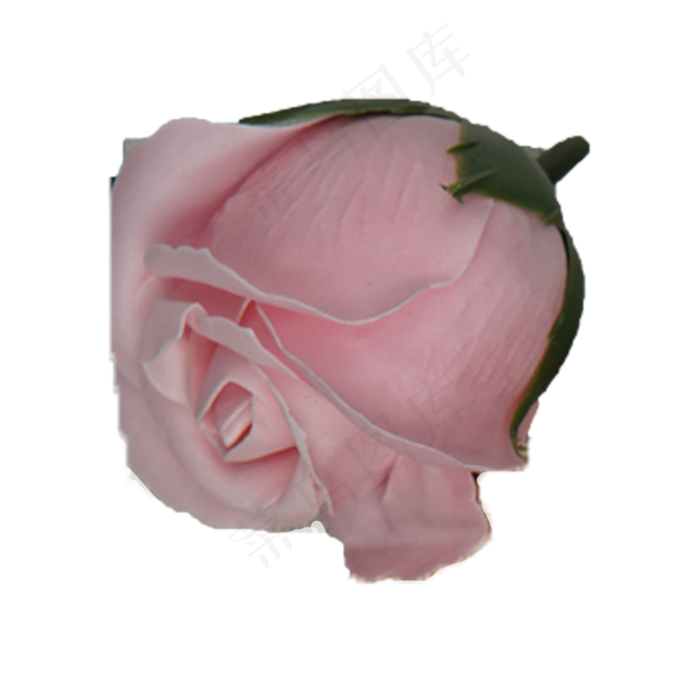 一朵美丽的粉色玫瑰(2000X2000(DPI:300))psd模版下载