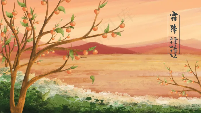 二十四节气霜降成熟的柿子(2880*1620px 300 dpi )
