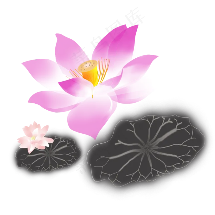 卡通毛笔画荷花免扣图(2000X2000(DPI:300))psd模版下载