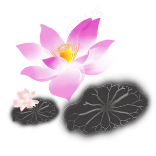 卡通毛笔画荷花免扣图