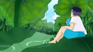 大暑节气之荷叶底下好乘凉