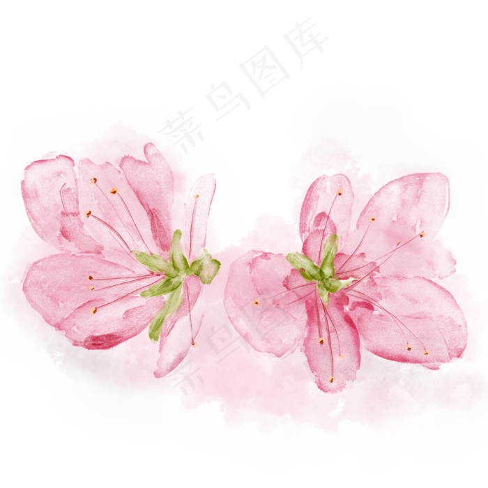 手绘水彩盛开的桃花,免抠元素