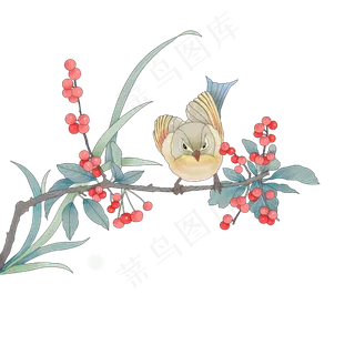 国画花鸟水墨工笔红果PNG,免抠元素