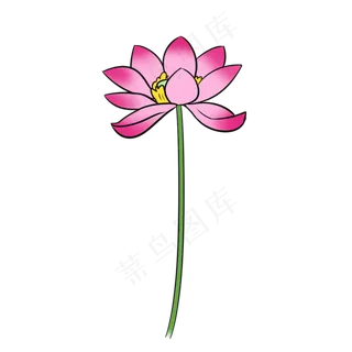 中国风手绘复古荷花