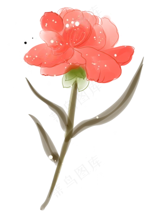 母亲节红色的康乃馨
