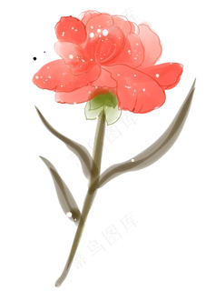 母亲节红色的康乃馨 母亲节红色的康乃馨