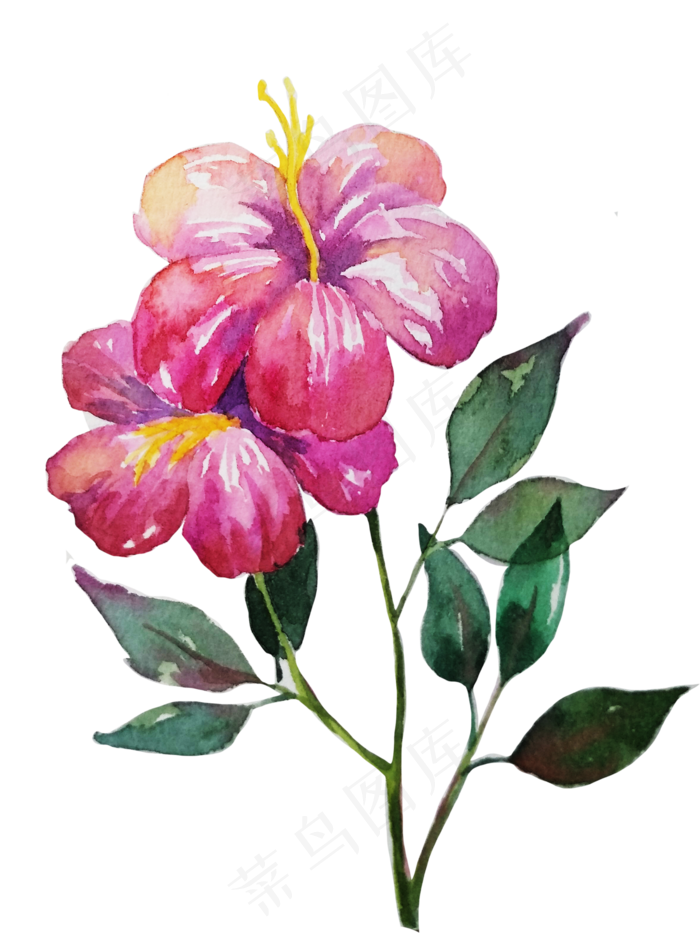 水彩花朵小清新鲜花(3000X4000(DPI:72))psd模版下载