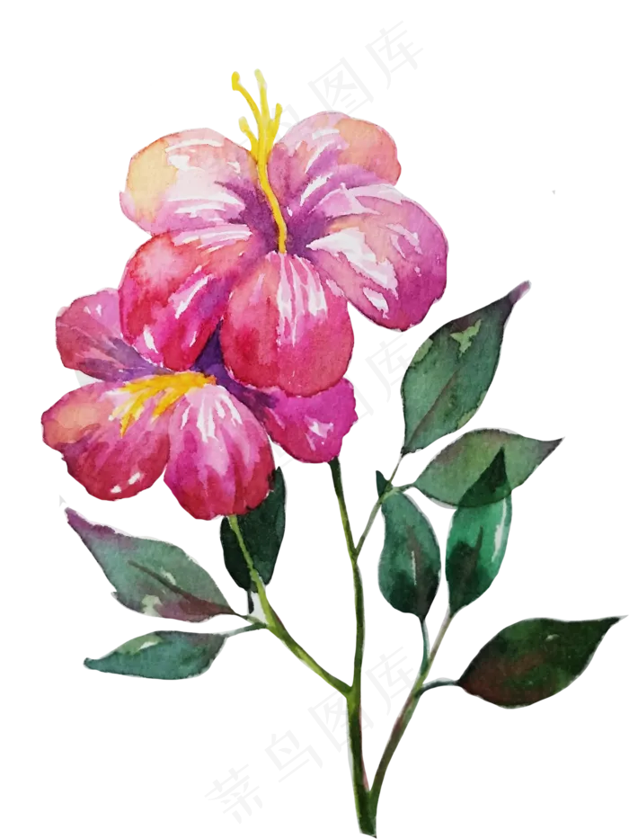 水彩花朵小清新鲜花(3000X4000(DPI:72))psd模版下载